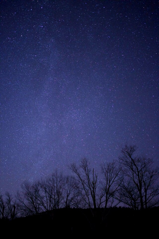 Black Tree Under Purple and Black Sky during Night Time