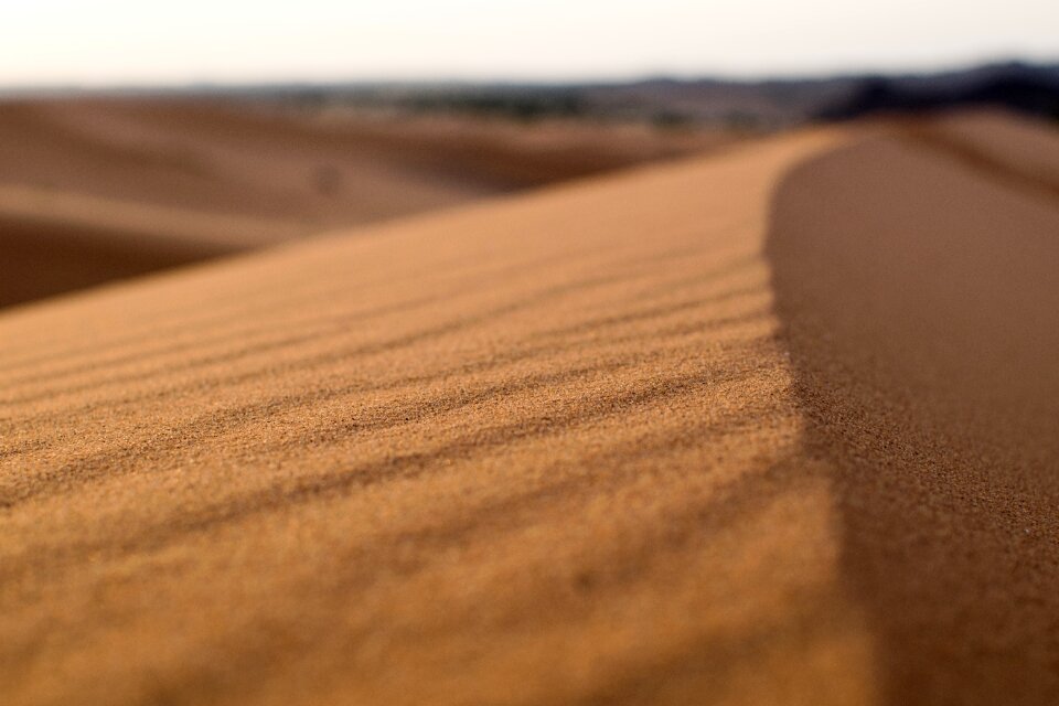 Brown Sand on Desert
