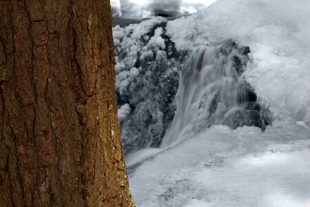Free stock photo of ice, trees, winter photo