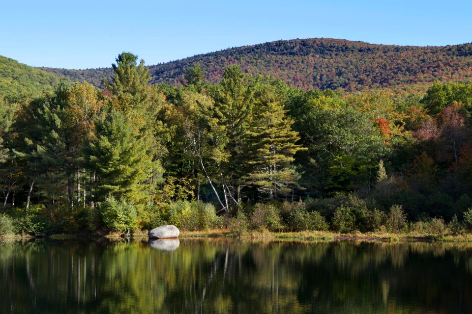 Green Trees Lining Mountain Lake Under Blue Sky