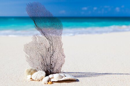 White Stone and Pebbles on Shore Overlooking Sea photo