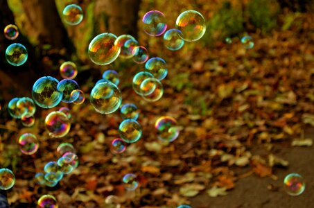 Free stock photo of background, ball, bubble
