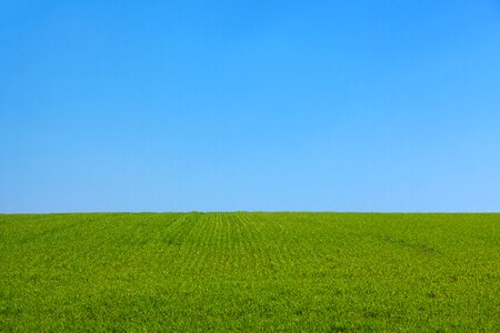 Green Grass Field Under Blue Sky