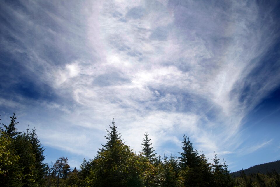 Free stock photo of clouds, sky, trees