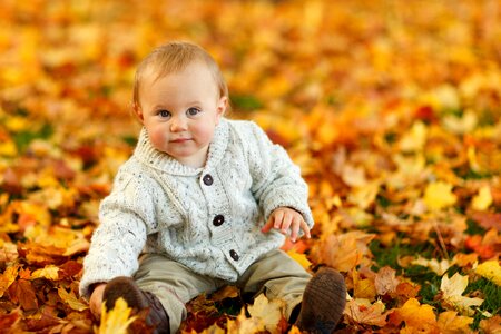 Infant in Gray 3 Button Up Long Sleeve Shirt Sitting on Brown leaves photo