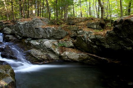 Free stock photo of rocks, trees, water