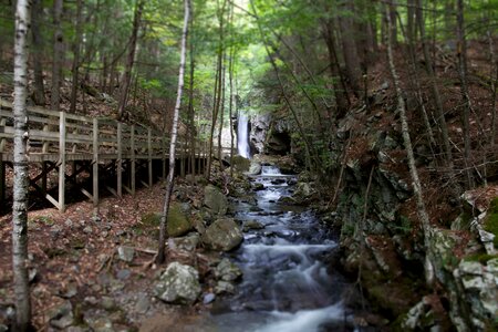 Free stock photo of rocks, trees, water photo