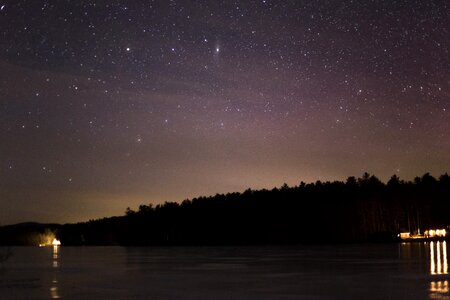 Forest Under Starry Night photo