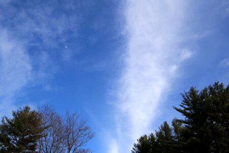 Free stock photo of clouds, moon, sky