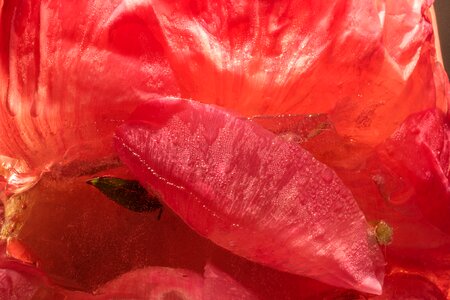 Red Fabric photo