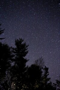 Free stock photo of night, sky, stars photo