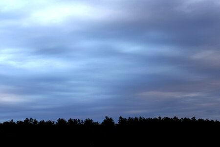 Free stock photo of clouds, sky, trees
