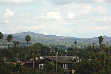 Free stock photo of city, green, nature
