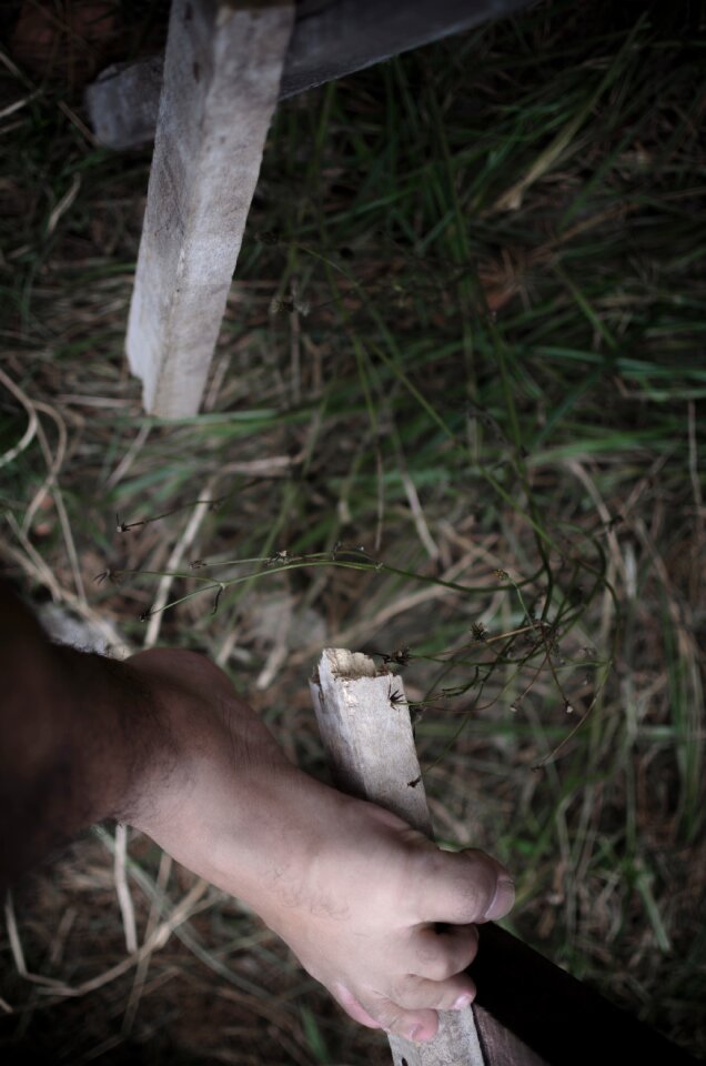 Free stock photo of broken, feet, grass
