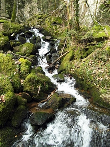 Murg valley black forest high rhine