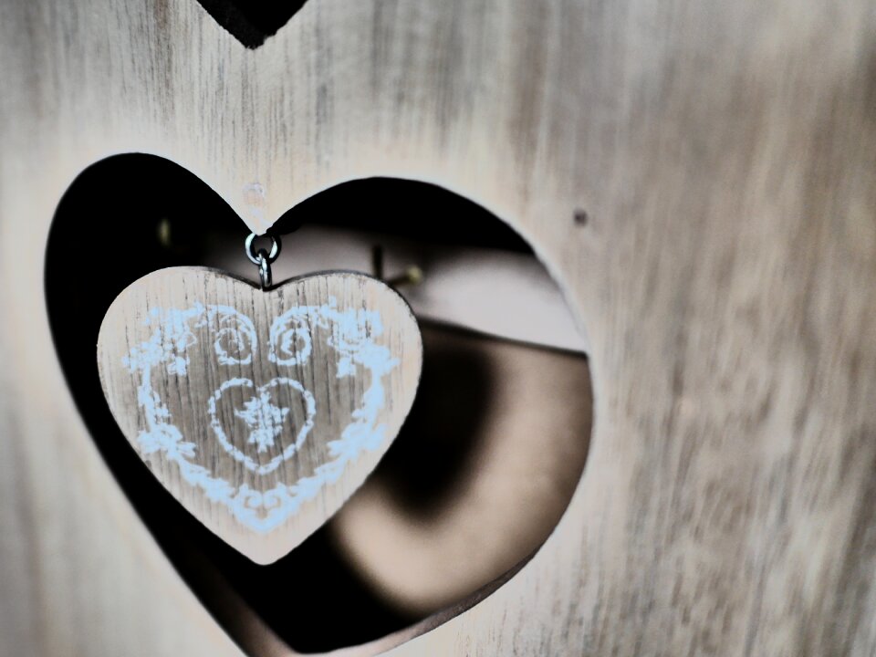 Free stock photo from Tookapic