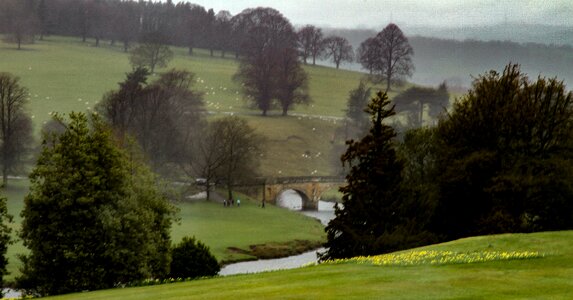 Free stock photo of bridge, chatsworth, daffodils photo