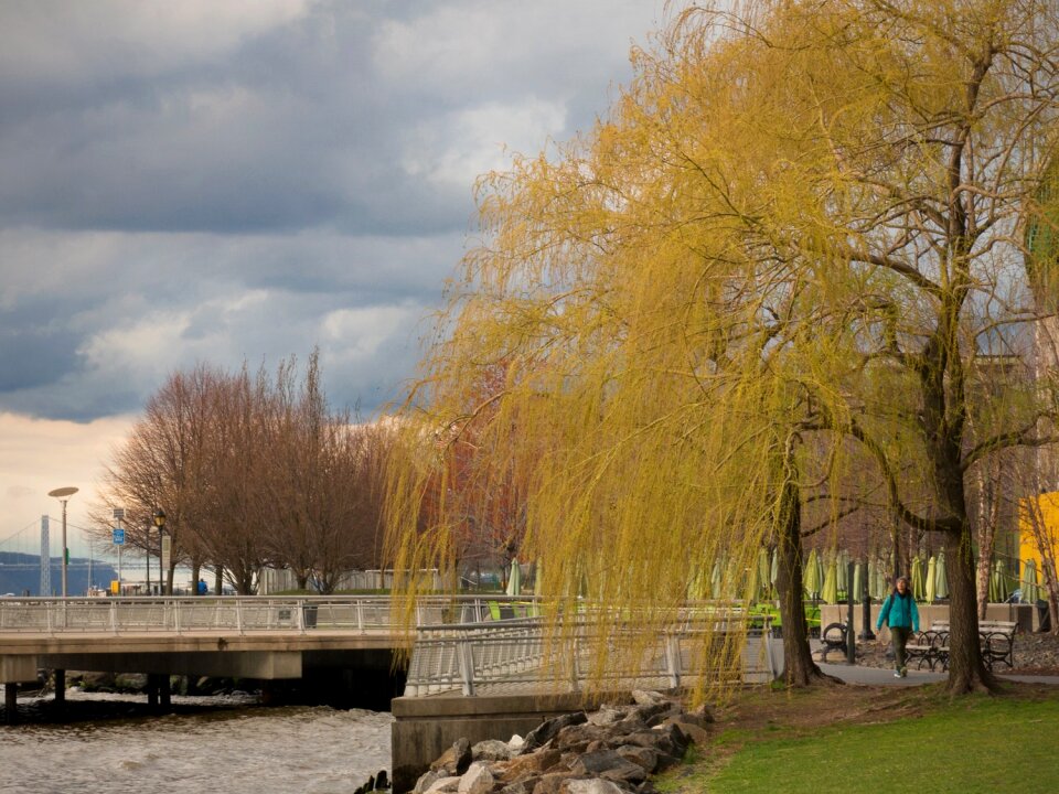 Free stock photo from Tookapic