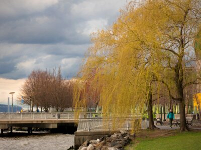 Free stock photo from Tookapic