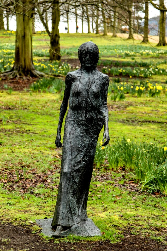 Free stock photo of daffodils, grass, statue