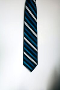 Blue Black and White Neck Tie photo