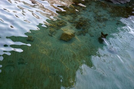 Free stock photo of green, reflection, water