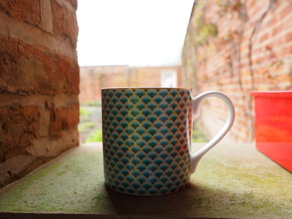 Free stock photo from Tookapic