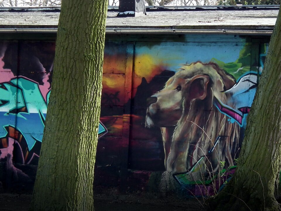 Free stock photo of theme street-art