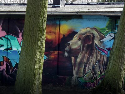 Free stock photo of theme street-art