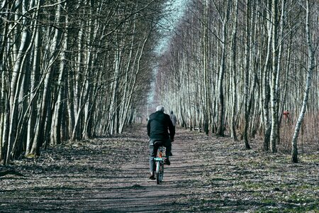 Free stock photo of color, country, cyclist