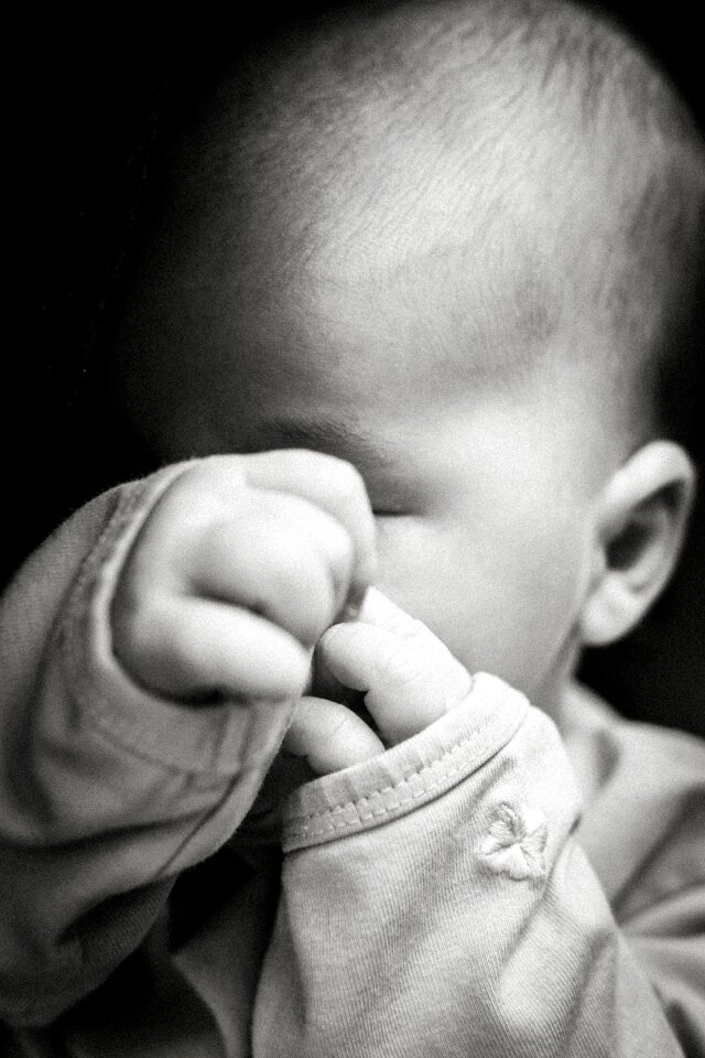 Free stock photo of baby