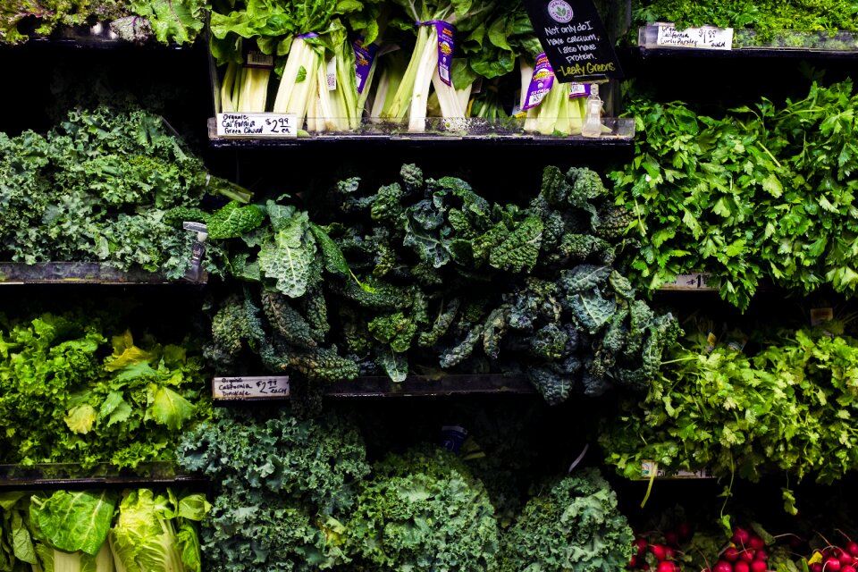 Free stock photo of green, groceries, shopping
