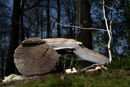 Free stock photo from Tookapic
