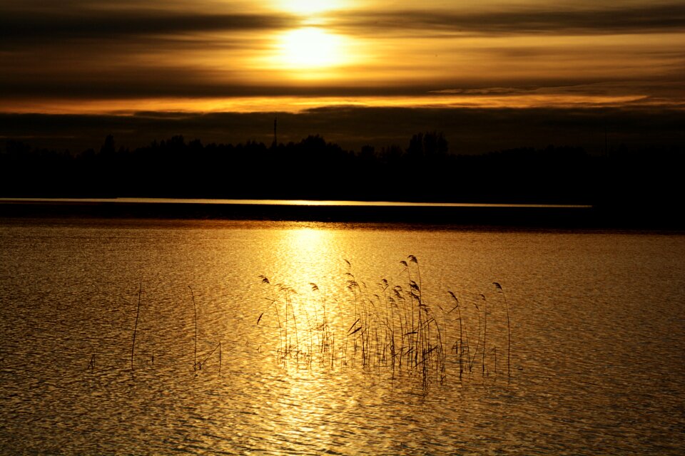 Free stock photo of gold, landscape, latvia
