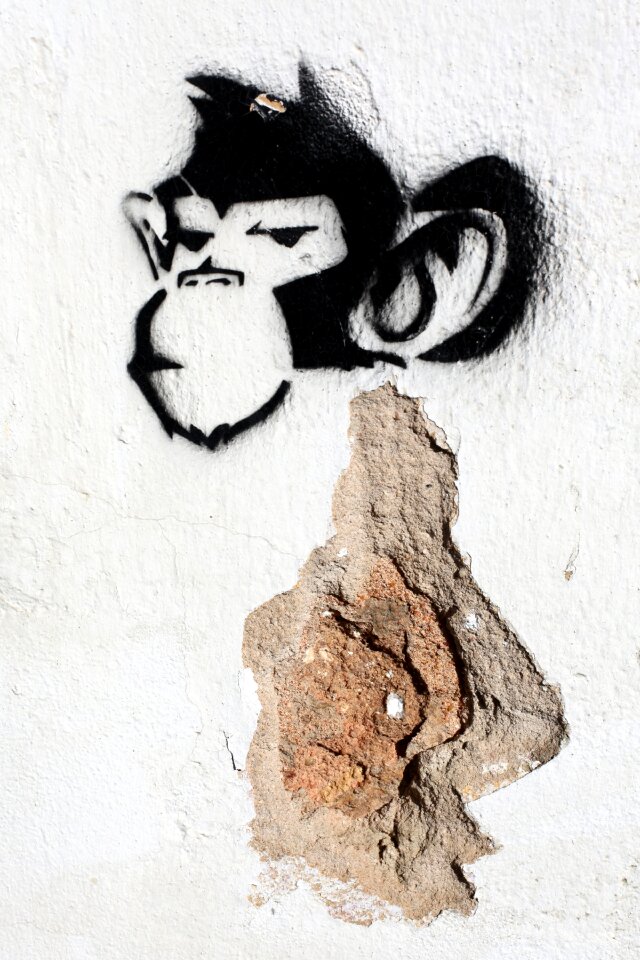 Free stock photo of monkey, stencil, theme street-art