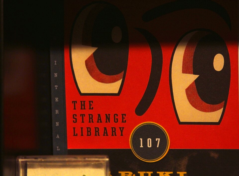 Free stock photo of books, murakami, night