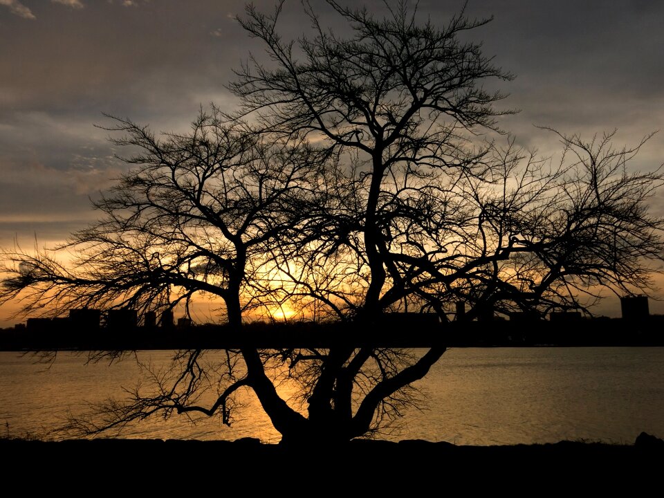 Free stock photo from Tookapic