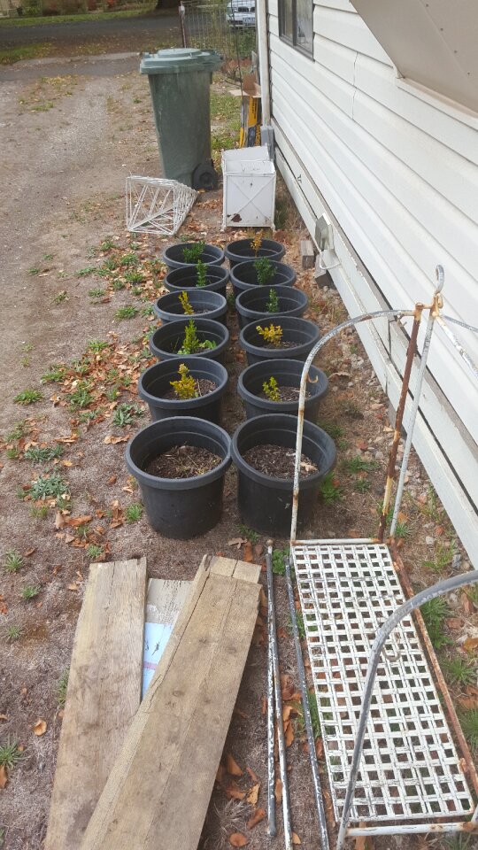 Free stock photo of moving, pots