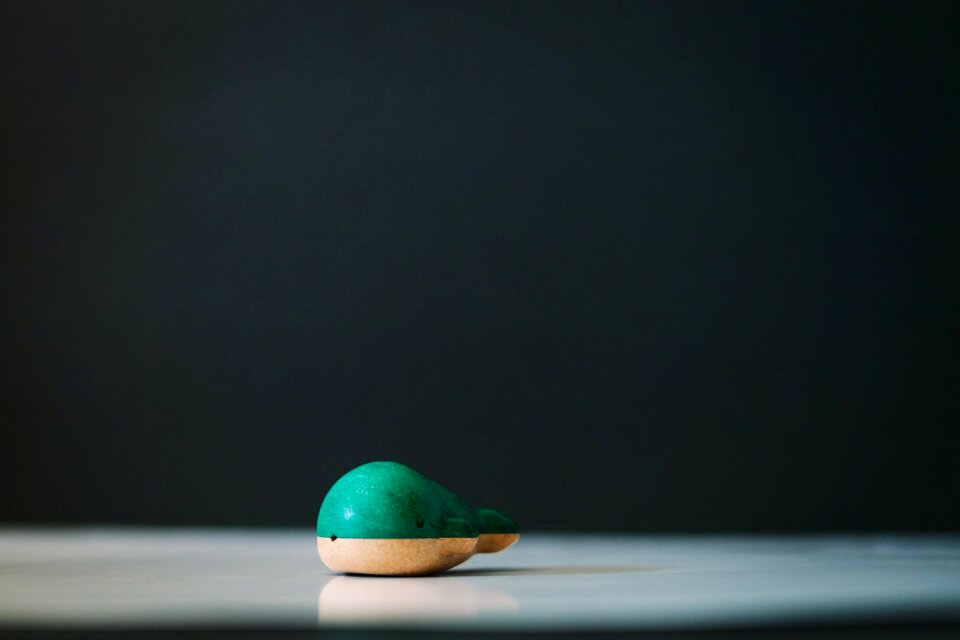 Free stock photo of toy, vsco, whale