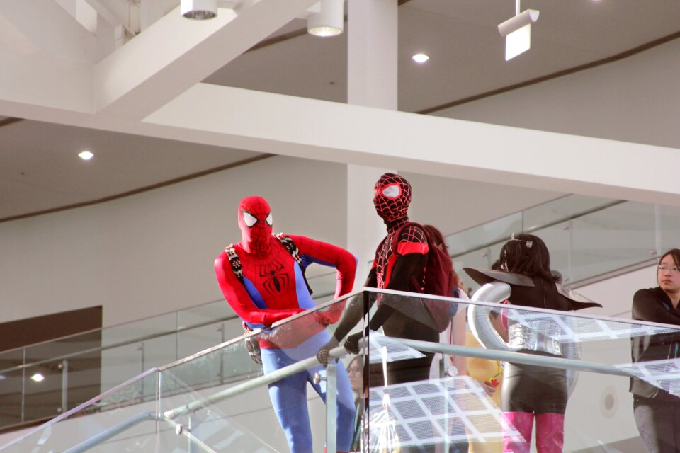 Free stock photo of cosplay, spiderman, wondercon