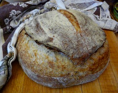 Free stock photo of bread, food, sourdough