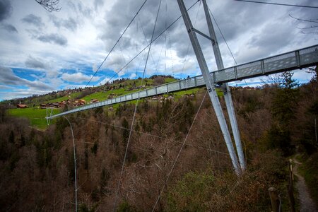 Free stock photo of architecture, bridge, cables