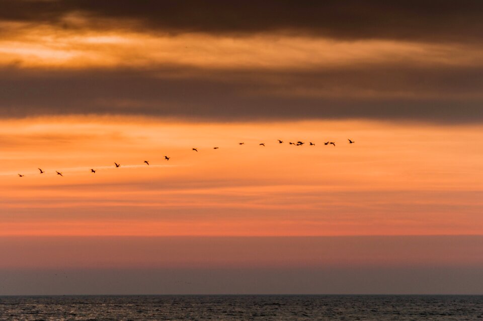 Free stock photo of sky, sunrise