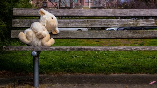 Free stock photo from Tookapic