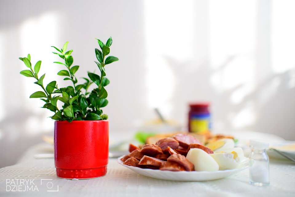 Free stock photo of easter, eggs, flower