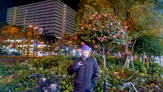 Free stock photo of city, person, selfie