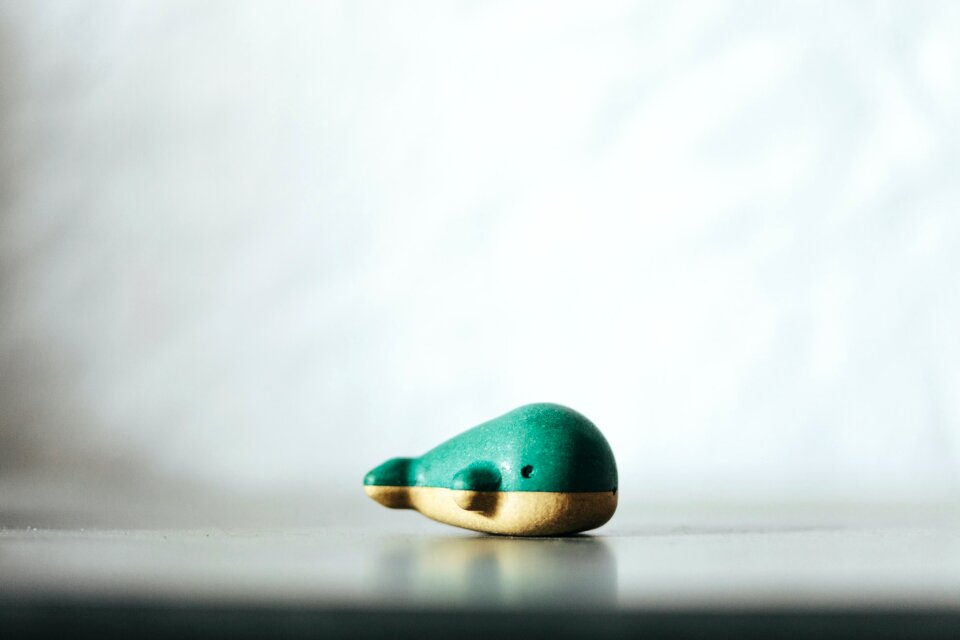 Free stock photo from Tookapic