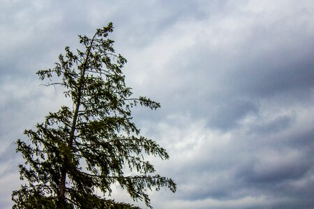 Free stock photo of canon, cloud, nature
