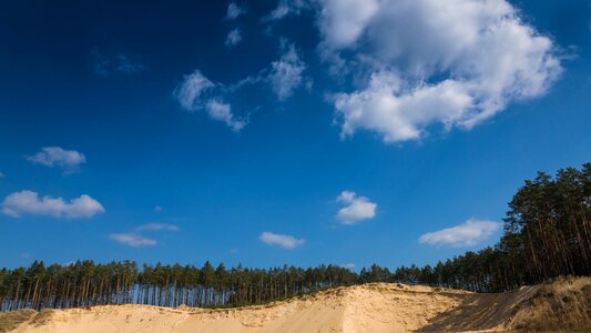 Free stock photo of dune, forest, stobrawskie
