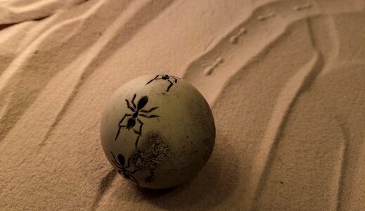 Free stock photo from Tookapic